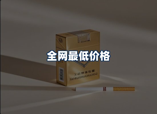 专业团队办公环境
